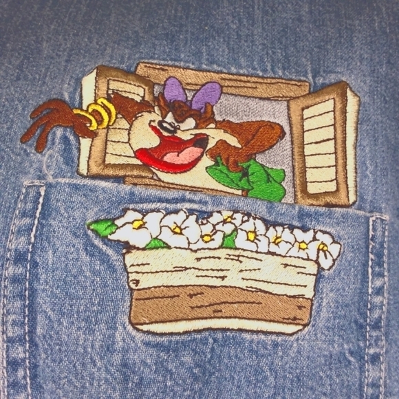 Warner Bros. Vintage Chambray Button Front Shirt - Picture 4 of 11